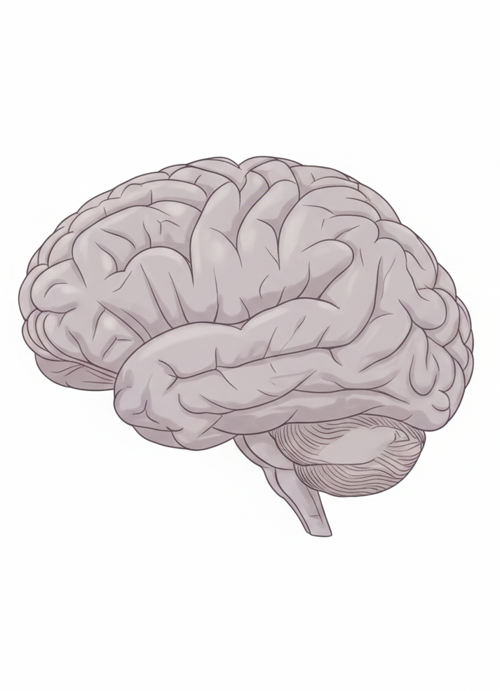 EnerFlow Supplement Support